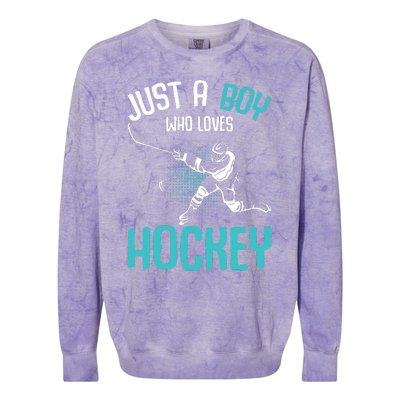 Just a who loves Hockey Player Ice Hockey Colorblast Crewneck Sweatshirt