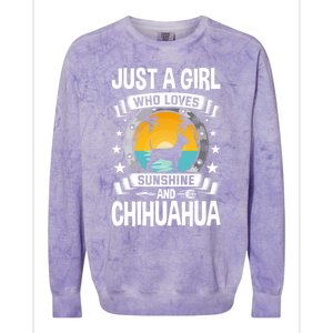 Just A Who Loves Sunshine And Chihuahua Cool Gift Colorblast Crewneck Sweatshirt