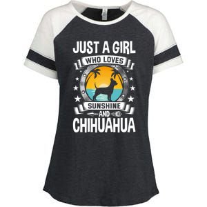 Just A Who Loves Sunshine And Chihuahua Cool Gift Enza Ladies Jersey Colorblock Tee