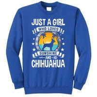 Just A Who Loves Sunshine And Chihuahua Cool Gift Sweatshirt