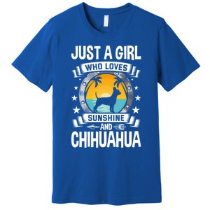 Just A Who Loves Sunshine And Chihuahua Cool Gift Premium T-Shirt