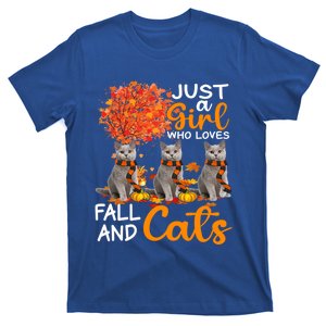 Just A Who Loves Fall And Cats Thanksgiving Farmer Cat Gift T-Shirt