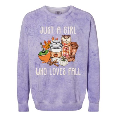 Just A Who Loves Fall Autumn Season Quote Retro Vintage Meaningful Gift Colorblast Crewneck Sweatshirt