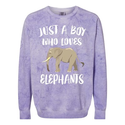 Just A Who Loves Elephants Elephant Lover Colorblast Crewneck Sweatshirt