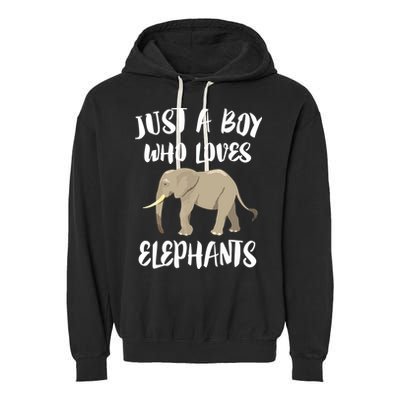 Just A Who Loves Elephants Elephant Lover Garment-Dyed Fleece Hoodie