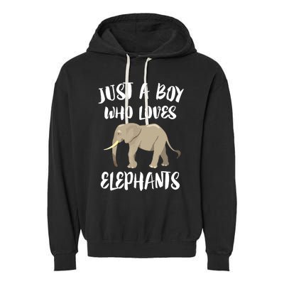 Just A Who Loves Elephants Elephant Lover Garment-Dyed Fleece Hoodie