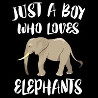 Just A Who Loves Elephants Elephant Lover Flexfit Unipanel Trucker Cap