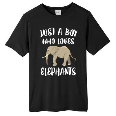 Just A Who Loves Elephants Elephant Lover Tall Fusion ChromaSoft Performance T-Shirt