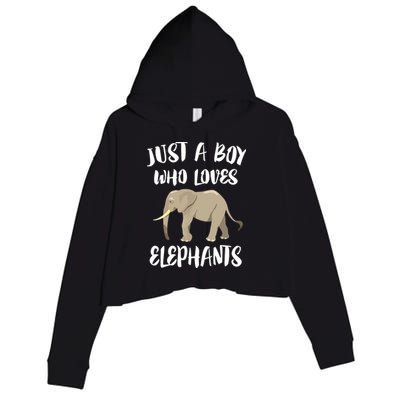 Just A Who Loves Elephants Elephant Lover Crop Fleece Hoodie