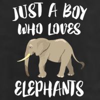 Just A Who Loves Elephants Elephant Lover Microfiber Hand Towel