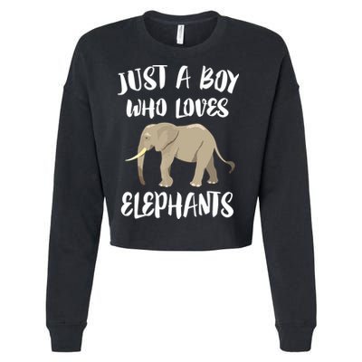 Just A Who Loves Elephants Elephant Lover Cropped Pullover Crew