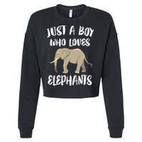 Just A Who Loves Elephants Elephant Lover Cropped Pullover Crew