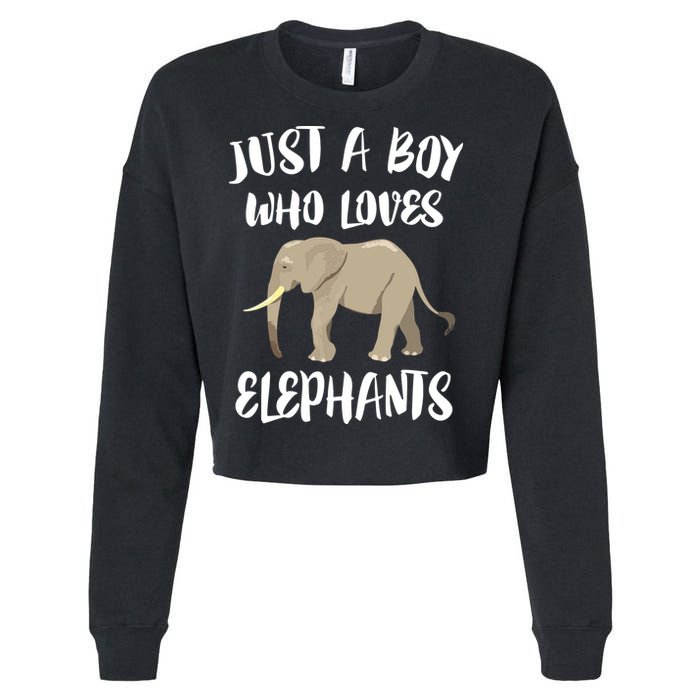 Just A Who Loves Elephants Elephant Lover Cropped Pullover Crew