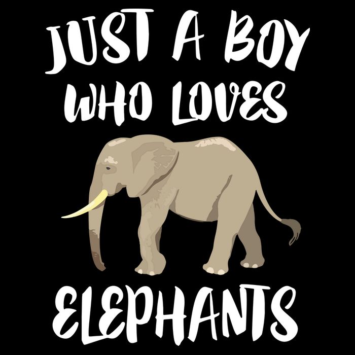 Just A Who Loves Elephants Elephant Lover Cropped Pullover Crew