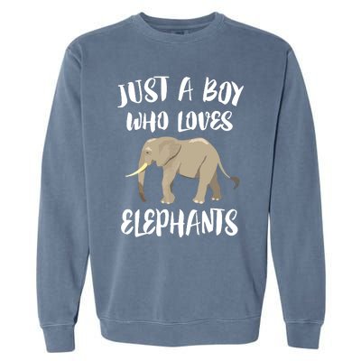 Just A Who Loves Elephants Elephant Lover Garment-Dyed Sweatshirt