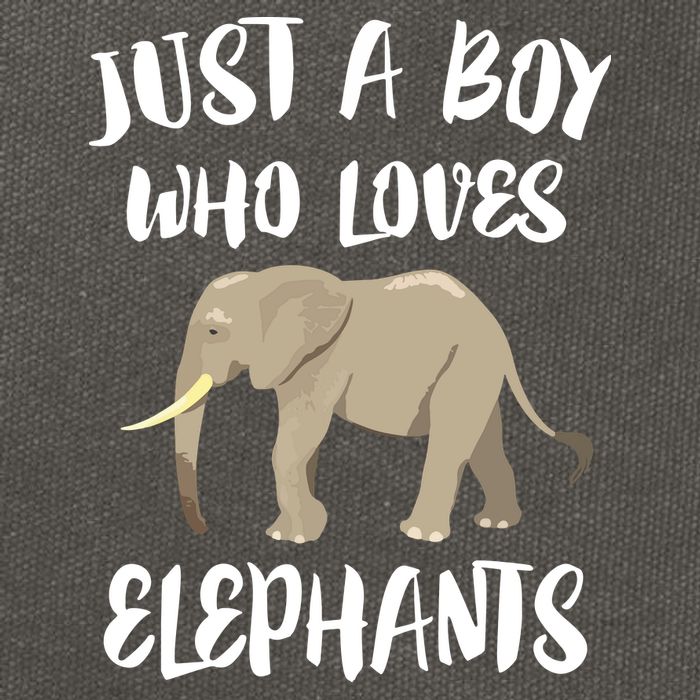 Just A Who Loves Elephants Elephant Lover Cotton Canvas Backpack