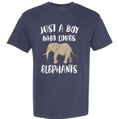 Just A Who Loves Elephants Elephant Lover Garment-Dyed Heavyweight T-Shirt