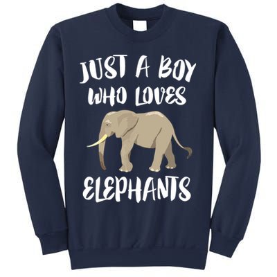 Just A Who Loves Elephants Elephant Lover Sweatshirt