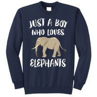 Just A Who Loves Elephants Elephant Lover Sweatshirt