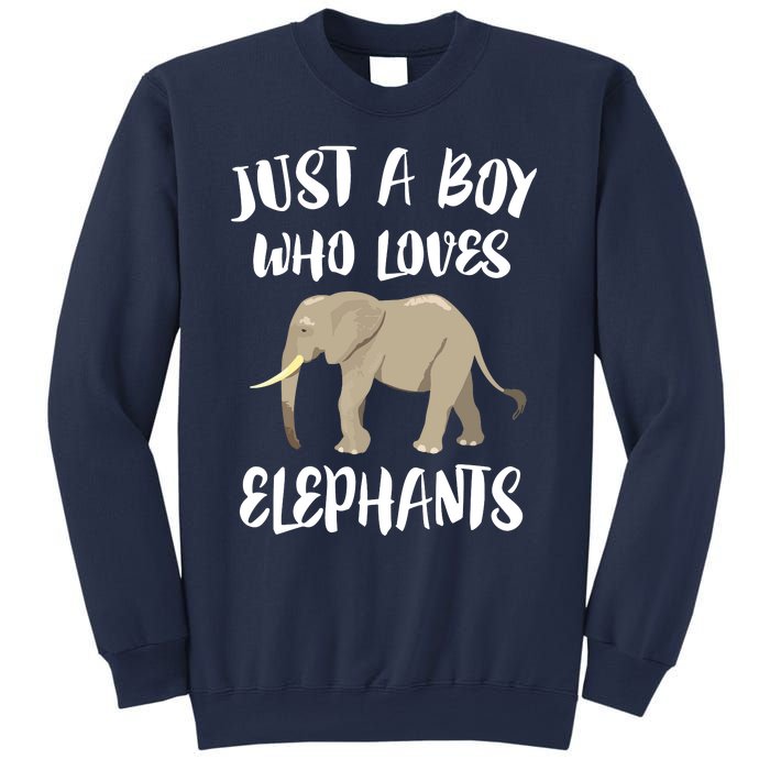 Just A Who Loves Elephants Elephant Lover Sweatshirt