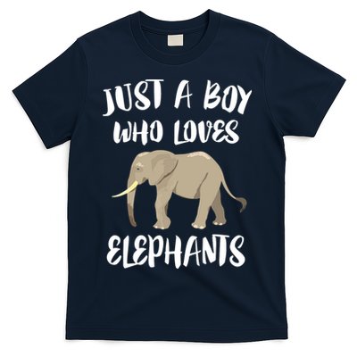 Just A Who Loves Elephants Elephant Lover T-Shirt