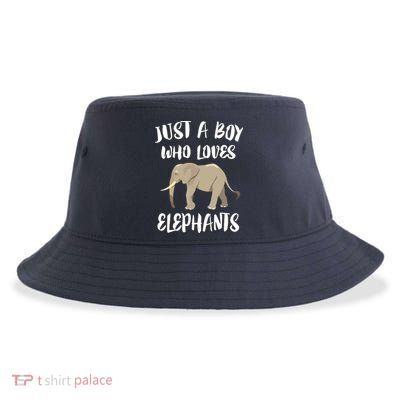 Just A Who Loves Elephants Elephant Lover Sustainable Bucket Hat
