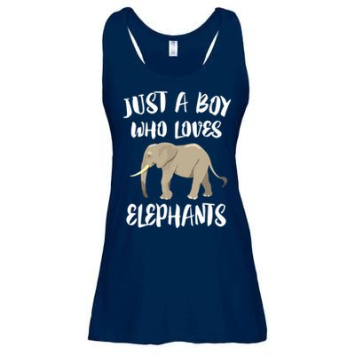 Just A Who Loves Elephants Elephant Lover Ladies Essential Flowy Tank