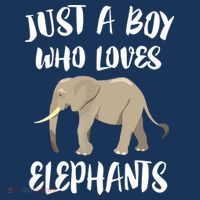 Just A Who Loves Elephants Elephant Lover Flatbill Hat