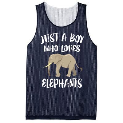 Just A Who Loves Elephants Elephant Lover Mesh Reversible Basketball Jersey Tank