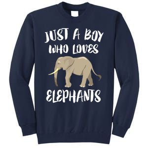 Just A Who Loves Elephants Elephant Lover Tall Sweatshirt