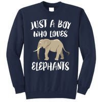 Just A Who Loves Elephants Elephant Lover Tall Sweatshirt