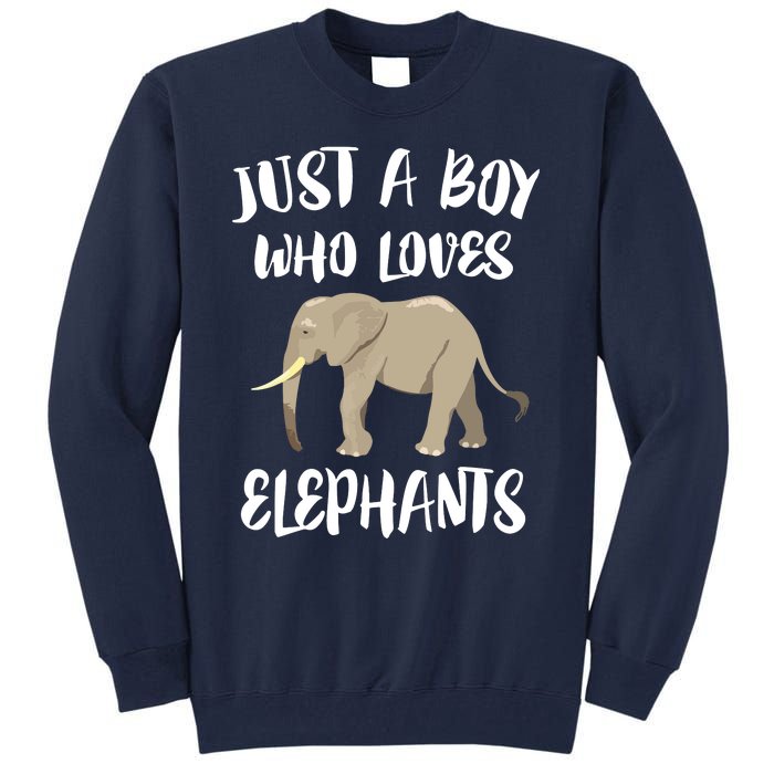 Just A Who Loves Elephants Elephant Lover Tall Sweatshirt