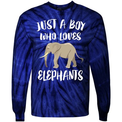 Just A Who Loves Elephants Elephant Lover Tie-Dye Long Sleeve Shirt