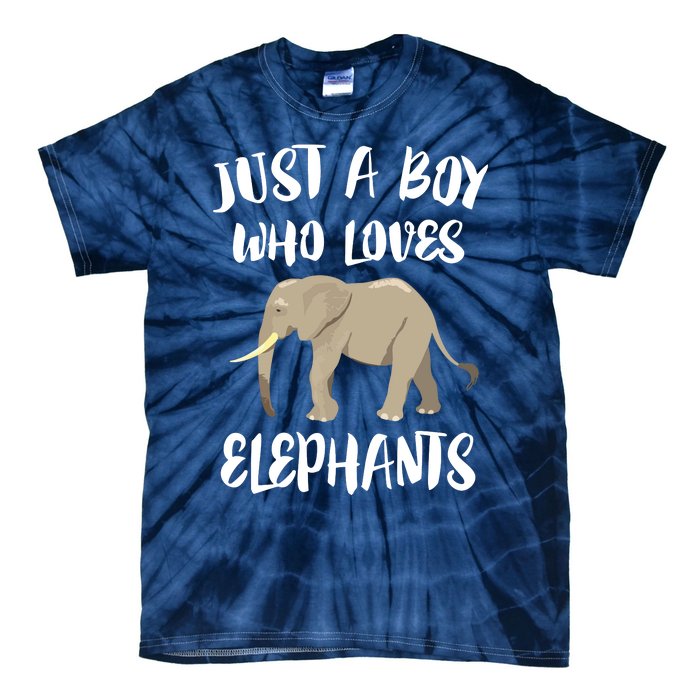 Just A Who Loves Elephants Elephant Lover Tie-Dye T-Shirt