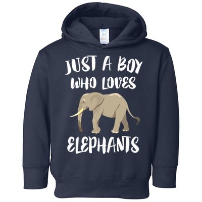 Just A Who Loves Elephants Elephant Lover Toddler Hoodie