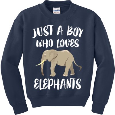 Just A Who Loves Elephants Elephant Lover Kids Sweatshirt