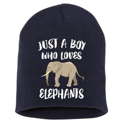 Just A Who Loves Elephants Elephant Lover Short Acrylic Beanie