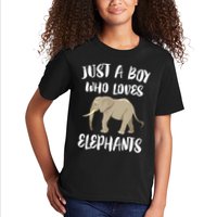 Just A Who Loves Elephants Elephant Lover Kids T-Shirt