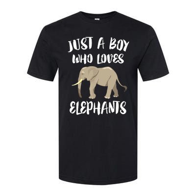 Just A Who Loves Elephants Elephant Lover Softstyle CVC T-Shirt