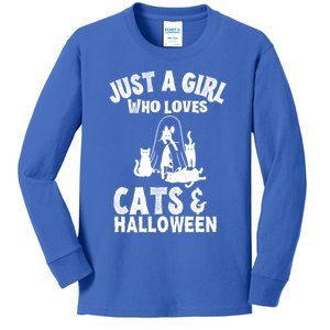 Just A Who Loves Cats And Halloween For Cat Lover Cool Gift Kids Long Sleeve Shirt