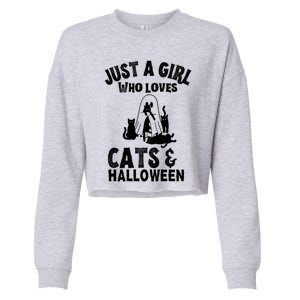 Just A Who Loves Cats And Halloween For Cat Lover Cool Gift Cropped Pullover Crew