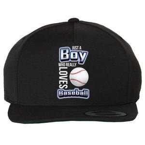 Just A Who Really Loves Baseball Funny Baseball Design Gift Wool Snapback Cap