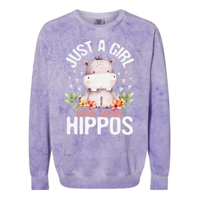 Just A Who Loves Hippos Hippopotamus Hippo Lover Colorblast Crewneck Sweatshirt