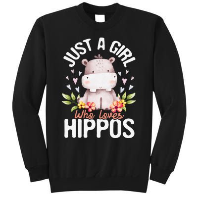 Just A Who Loves Hippos Hippopotamus Hippo Lover Sweatshirt