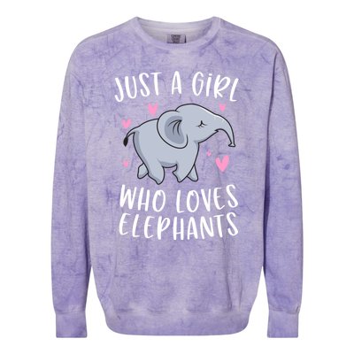 Just A Who Loves Elephants Funny Elephant Funny Gift Colorblast Crewneck Sweatshirt