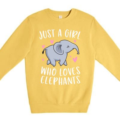 Just A Who Loves Elephants Funny Elephant Funny Gift Premium Crewneck Sweatshirt