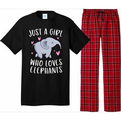 Just A Who Loves Elephants Funny Elephant Funny Gift Pajama Set