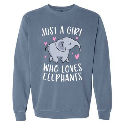 Just A Who Loves Elephants Funny Elephant Funny Gift Garment-Dyed Sweatshirt