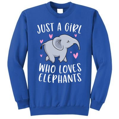 Just A Who Loves Elephants Funny Elephant Funny Gift Sweatshirt