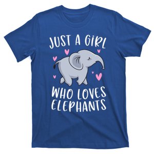 Just A Who Loves Elephants Funny Elephant Funny Gift T-Shirt